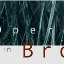 American Opera Projects Announces 21st Season, Features Workshops of…